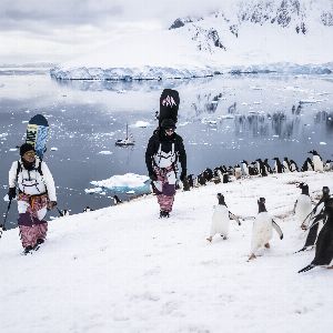 Défiez les lois de la gravité : ski extrême sur les icebergs de l'Antarctique !