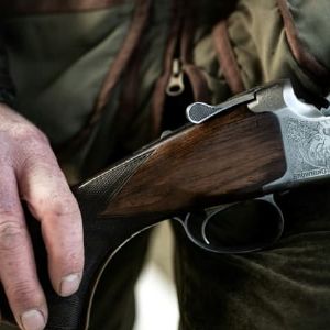 "Drame à Selonnet : un chasseur décède lors d'une battue aux Alpes-de-Haute-Provence"