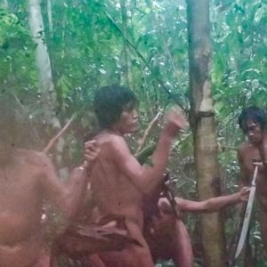 Révélation sur le peuple "Massaco" : une communauté isolée prospère malgré les menaces en Amazonie