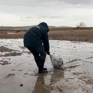 "Catastrophe écologique en Mer Noire : 200 000 tonnes de sols pollués après le naufrage de deux pétroliers"