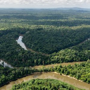 "Découverte inédite en Amazonie : des autochtones Massacos photographiés pour la première fois"