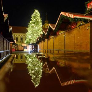 "Drame au marché de Noël de Magdebourg : la douleur insoutenable de la maman d’André, 9 ans, victime de l'attaque"