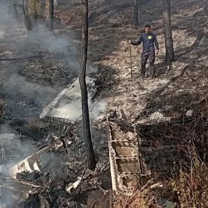 "Drame au Mexique : crash mortel d'un avion de tourisme en forêt"