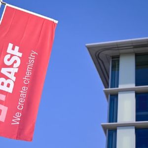 "Le géant BASF se déleste d'une activité en difficulté : allons-nous vers un renouveau?"