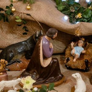 "Les mystères cachés de Noël révélés : des secrets interdits enfin dévoilés !"