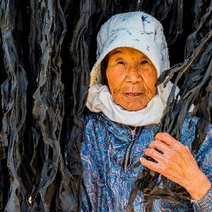 "Les retraités japonais qui défient le temps en poursuivant leur carrière"