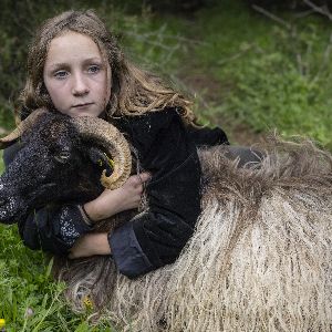 "Révélation sur le lien entre IA et préservation de la biodiversité : comprendre le langage des animaux ne suffira pas à les sauver"