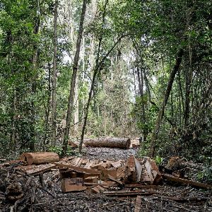 "Découvrez les premières photos d'une tribu amazonienne inconnue au Brésil !"