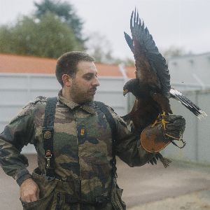 Les rapaces de la base militaire de Villacoublay assurent la sécurité aérienne.