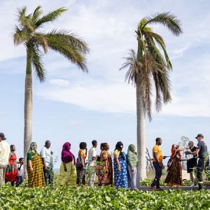 "Mayotte en détresse : l'archipel toujours sous le choc après le cyclone Chido, à l'approche des fêtes de fin d'année"