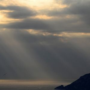 "Incroyable : Noël pluvieux mais doux avec des températures jusqu'à 17°C à Perpignan"