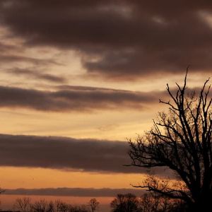 "Incroyable météo pour ce lendemain de Noël : du brouillard à l'ouest, du soleil à l'est et de la douceur partout en France !"