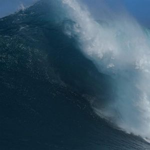 "Incroyable survie d'un surfeur à Hawaï : chute spectaculaire dans une vague à Jaws"