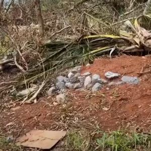 Incroyable : Découverte de cimetières sauvages à Mayotte après le passage du cyclone Chido !