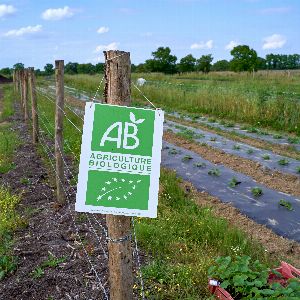 "Le secteur bio en crise : attentes de relance et soutien du nouveau gouvernement"