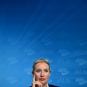 "Scandale entre le Rassemblement National et l'AfD : rupture après des déclarations choc"