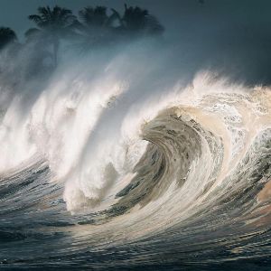 "Survie miraculeuse d'un couple piégé par le tsunami de 2004 en Thaïlande !"