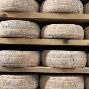 Découvrez la fromagerie la plus haute d'Europe, perchée à Isola 2000