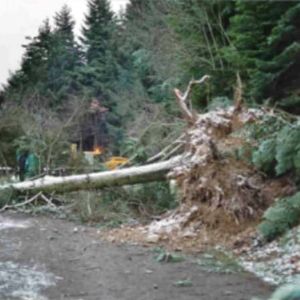 "Flashback dévastateur : 25 ans après, les Rhodaniens se rappellent de la redoutable tempête de 1999"