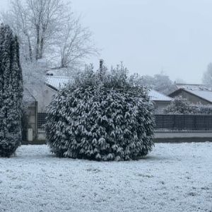 Neige industrielle en Seine-et-Marne : un phénomène hivernal surprenant!