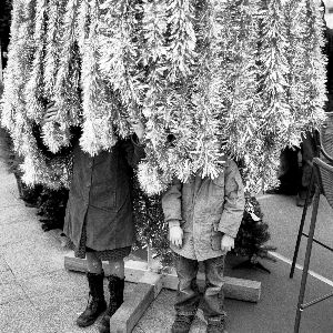 "Révélations sur les festivités de fin d'année : Noël et Saint-Sylvestre décryptées par Lola Lafon"