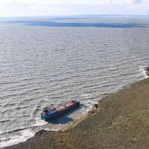 "URGENCE : Marée noire en Crimée, la Russie face à une crise écologique majeure"