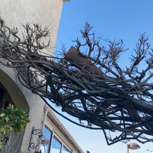 "Alerte météo à La Crau : demande d'état de catastrophe naturelle en cours"