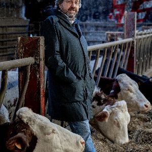 "Incroyable : des vaches mieux traitées grâce à des labels équitables !"