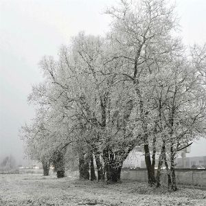 "Incroyable phénomène de neige industrielle en région parisienne : explications surprenantes !"