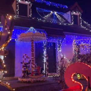 Une incroyable maison illuminée attire des foules à Forges-les-Bains