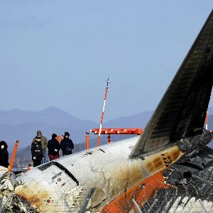 "Alerte ! Les oiseaux sont-ils une menace cachée pour les avions ?"