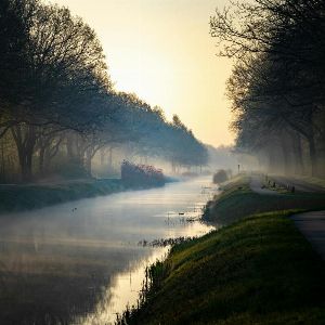 "Horreur au bord du canal : macabre découverte dans un sac poubelle en Loire"