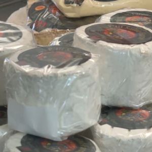 Meilleur fromage du monde : découvrez le P'tit Saint-Faron de Meaux, un délice fondant et crémeux