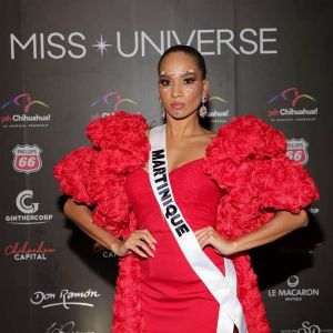 Révélation exclusive de Miss France 2025 : ses inspirations cinématographiques et ses projets pour l'avenir dévoilés !