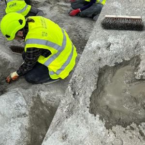 "Découverte extraordinaire : le plus grand site d'empreintes de dinosaures au Royaume-Uni révélé"