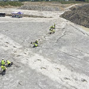 Découvrez le trésor fossilisé des autoroutes des dinosaures au Royaume-Uni