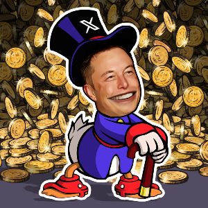 "Incroyable ! Un investissement de 66$ en memecoin grâce à Elon Musk devient 3 millions de dollars"