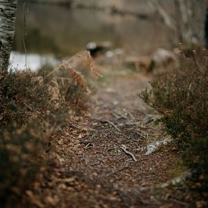 "Trou macabre dans les Hautes-Alpes : des ossements humains découverts lors d'une balade"