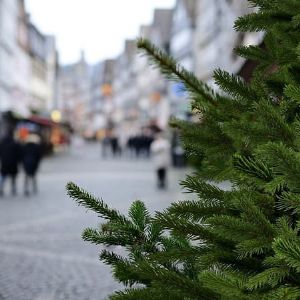 "Découvrez où jeter votre sapin à Embrun après Noël!"