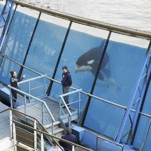 "Incertain avenir des salariés et des animaux à l'approche de la fermeture de Marineland"