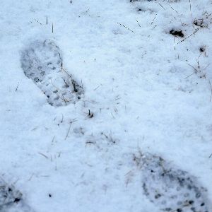 Alerte météo : 16 départements en danger à cause de la neige et du verglas !