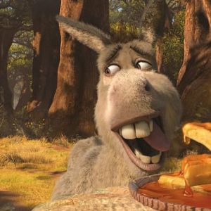 Décès de Perry, l'âne qui a inspiré le célèbre personnage de l'Âne dans "Shrek"