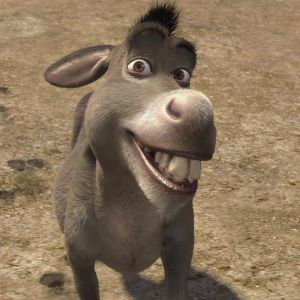 "Triste nouvelle pour les fans de Shrek : l'âne inspiré par Perry, l'animal réel, est décédé à l'âge de 30 ans"