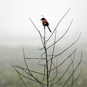 Un mort dans un accident à cause de la neige et du verglas, vigilance orange levée