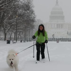 "Alerte tempête historique de neige frappe l'est des États-Unis : jusqu'à 61cm attendus !"