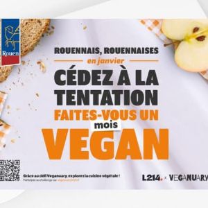 "Incroyable ! Rouen lance un plat vegan dans les cantines pour le défi Veganuary"