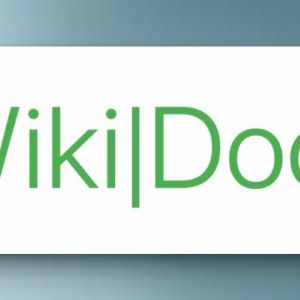 "Découvrez WikiDocs : le wiki révolutionnaire sans base de données !"