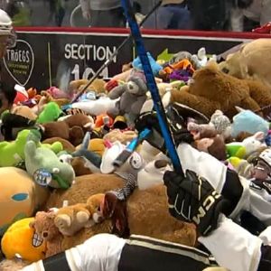 "Incroyable : plus de 100 000 peluches jettées sur la patinoire, un match de hockey interrompu aux États-Unis !"