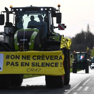 "La guerre des syndicats agricoles a commencé : qui l'emportera ?"