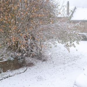 "Alerte neige en Normandie: prévisions météo à prendre au sérieux!"